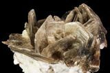 Muscovite & White Albite Crystal Association - Brazil #95570-2